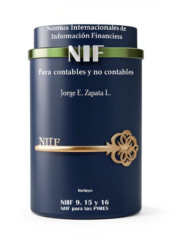 International Accounting Spanish Kindle Edition 460 Pages-0