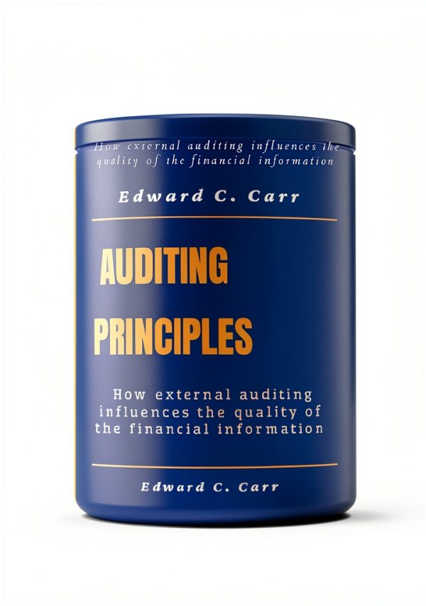 Accounting Auditing Kindle eBook English Financial Guide-0